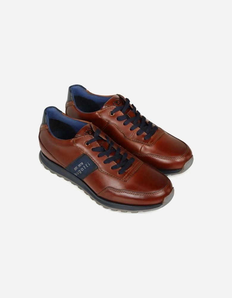 Cellar Mens Trainers