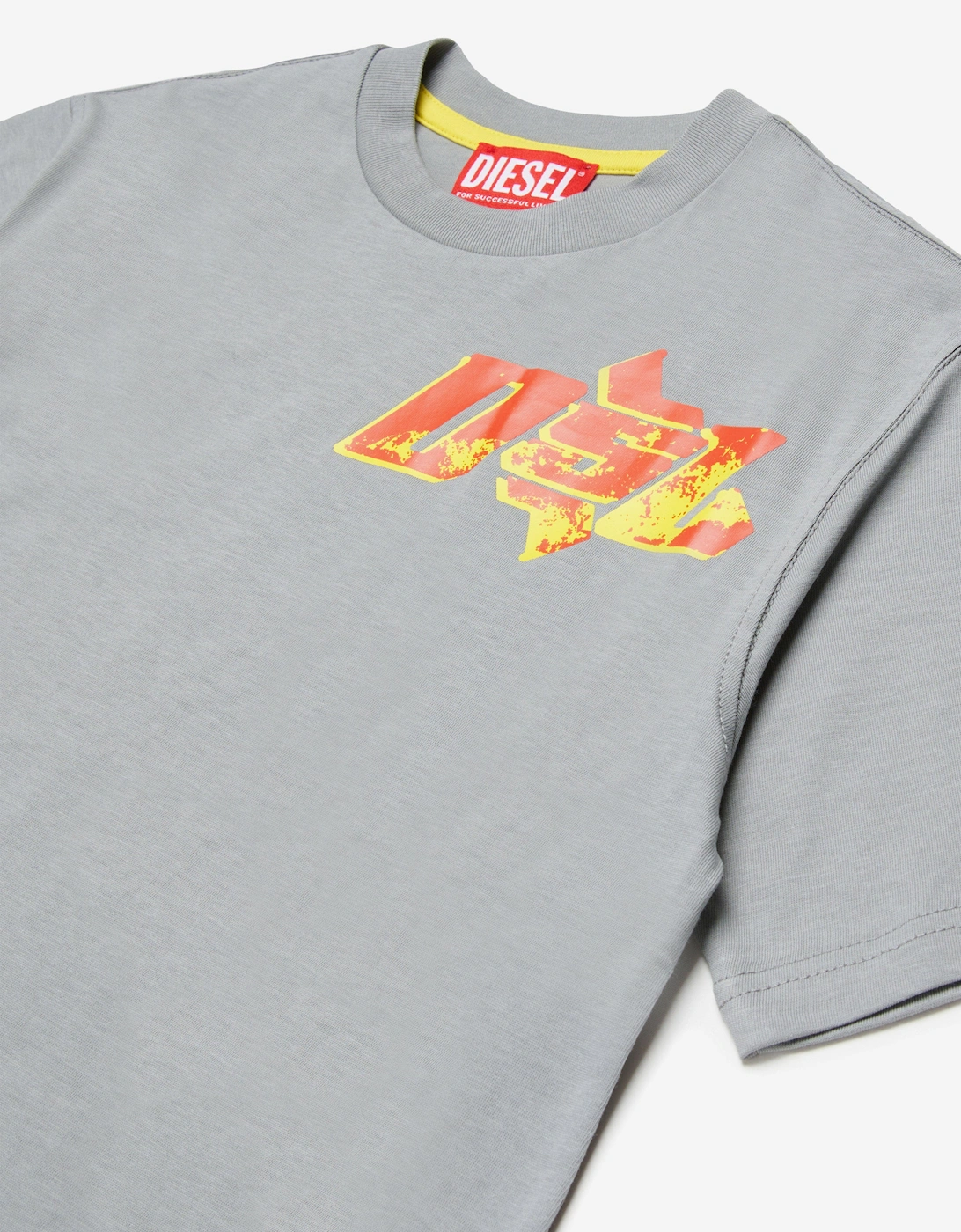 Boys Logo Print T-Shirt in Grey