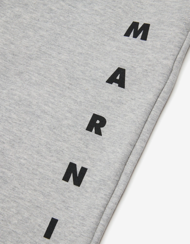 Kids Logo Shorts in Grey