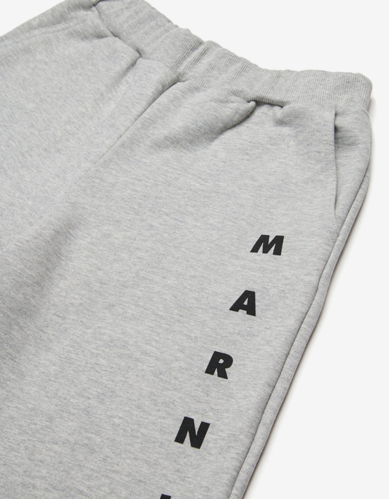 Kids Logo Shorts in Grey