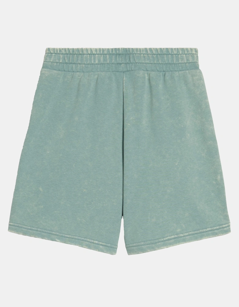 Class 5 Inch Washed Shorts