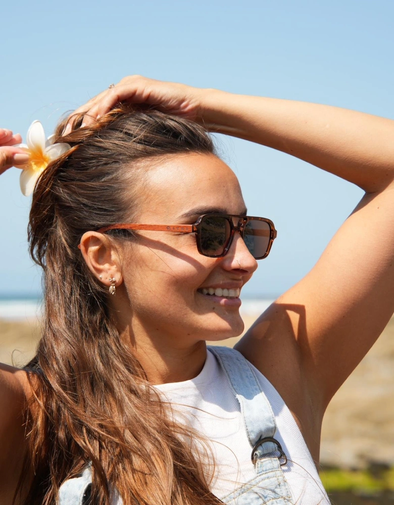 Luma Sunglasses - Bantham - Tortoise