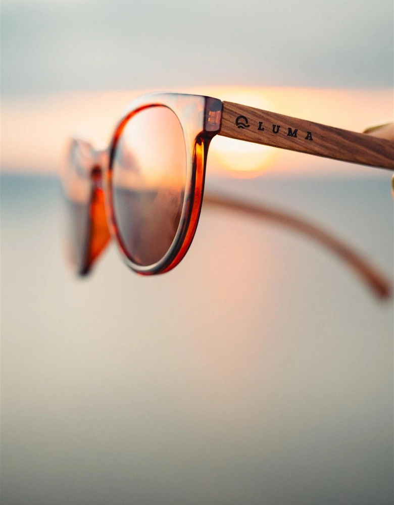 Luma Sunglasses - Tarka - Tortoise