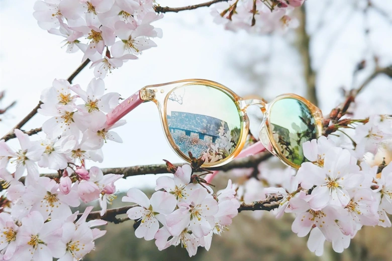 Luma Sunglasses - Fowey - Pink