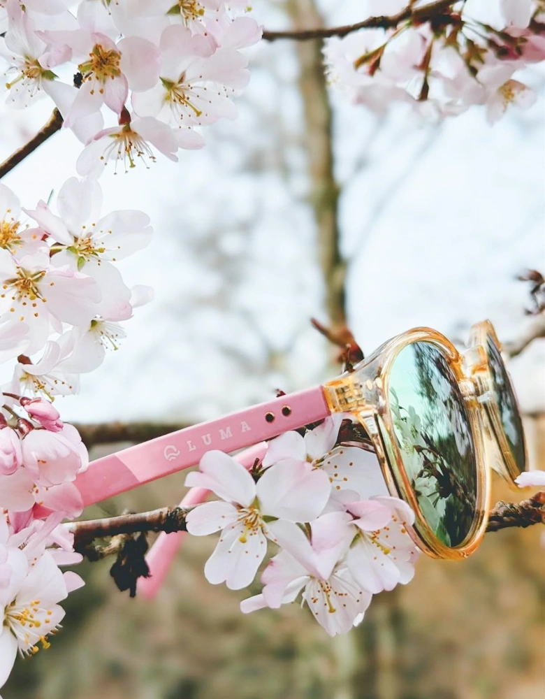 Luma Sunglasses - Fowey - Pink