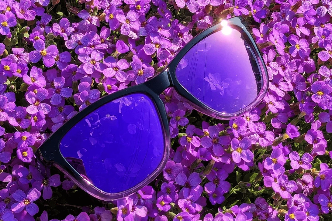 Luma Sunglasses - Harlyn - Purple