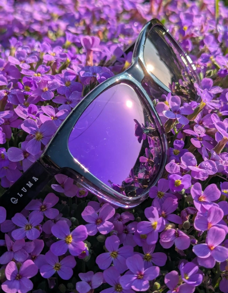 Luma Sunglasses - Harlyn - Purple