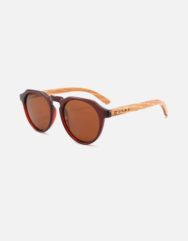 Luma Sunglasses - Clovelly - Amber
