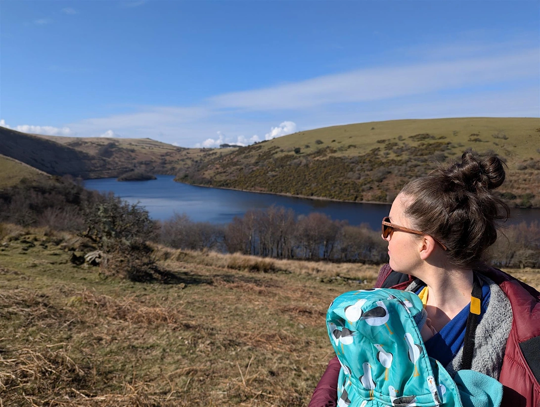 Luma Sunglasses - Meldon  - Amber