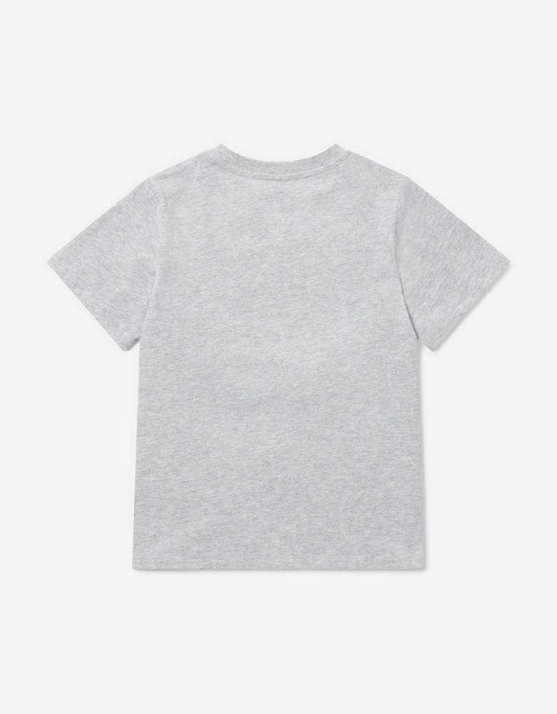 Boys Spider Print T-Shirt in Grey