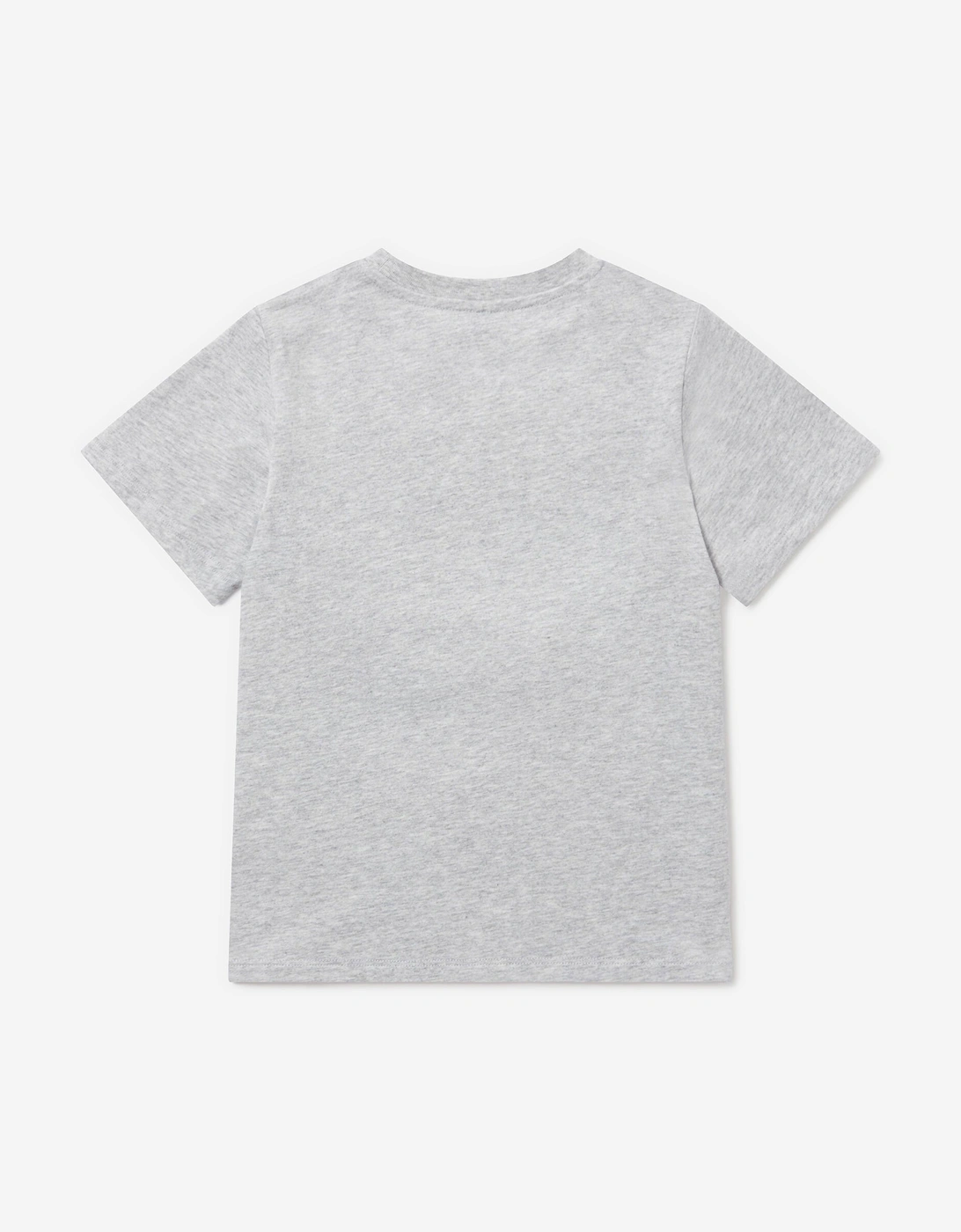 Boys Spider Print T-Shirt in Grey