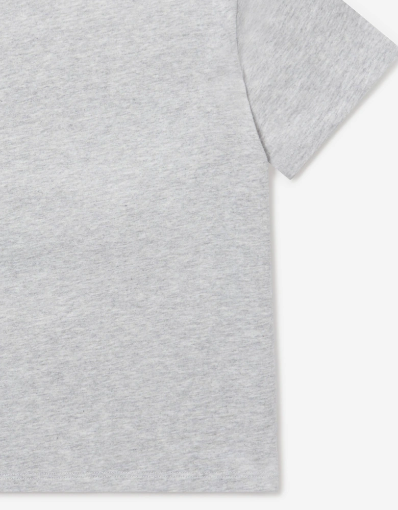 Boys Spider Print T-Shirt in Grey