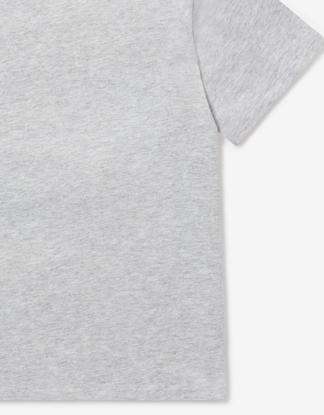 Boys Spider Print T-Shirt in Grey