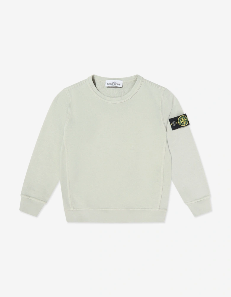 Boys Cotton Fleece Sweatshirt in Grey