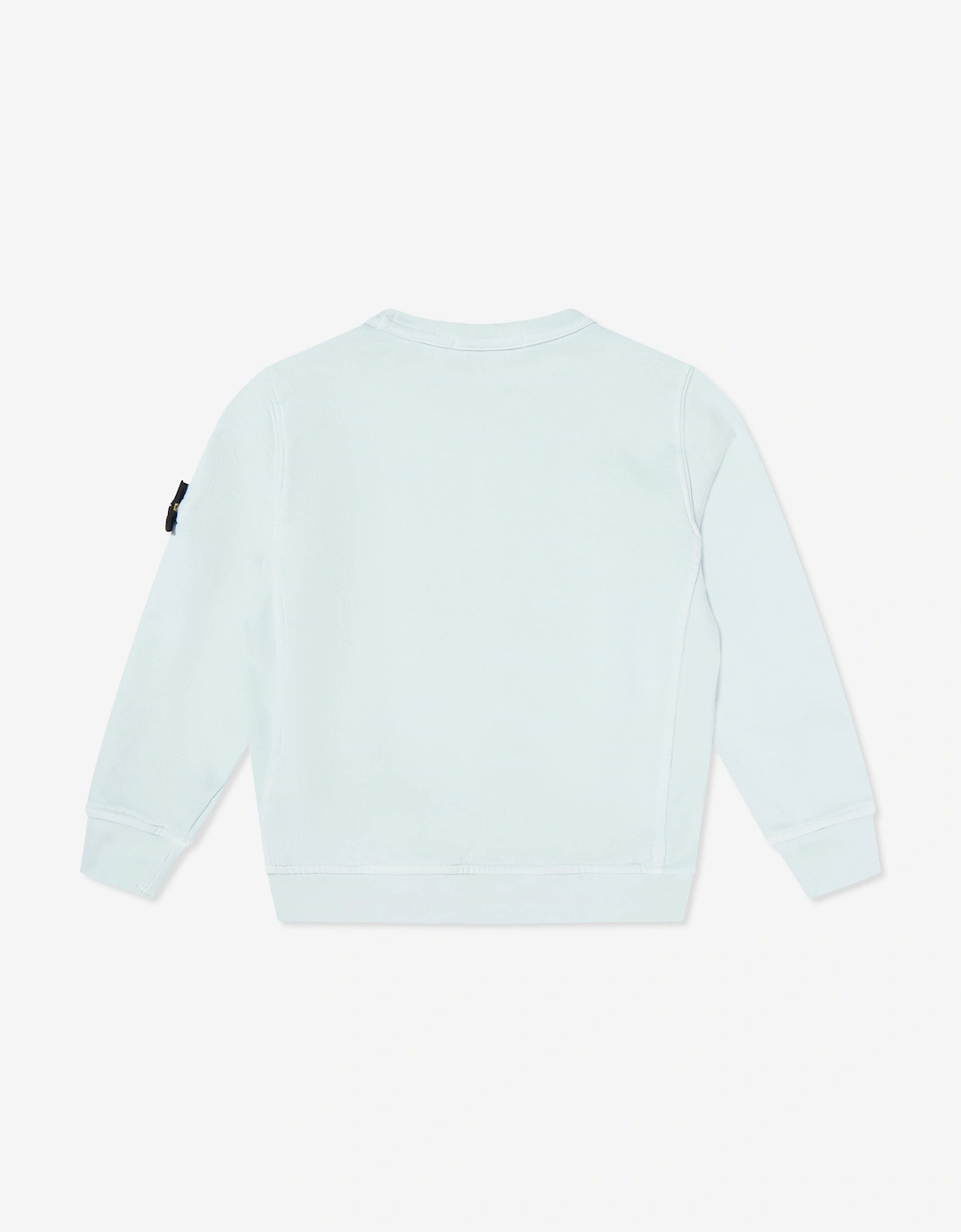 Boys Cotton Fleece Sweatshirt in Blue