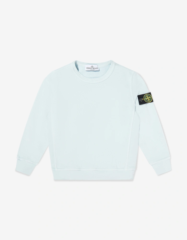 Boys Cotton Fleece Sweatshirt in Blue