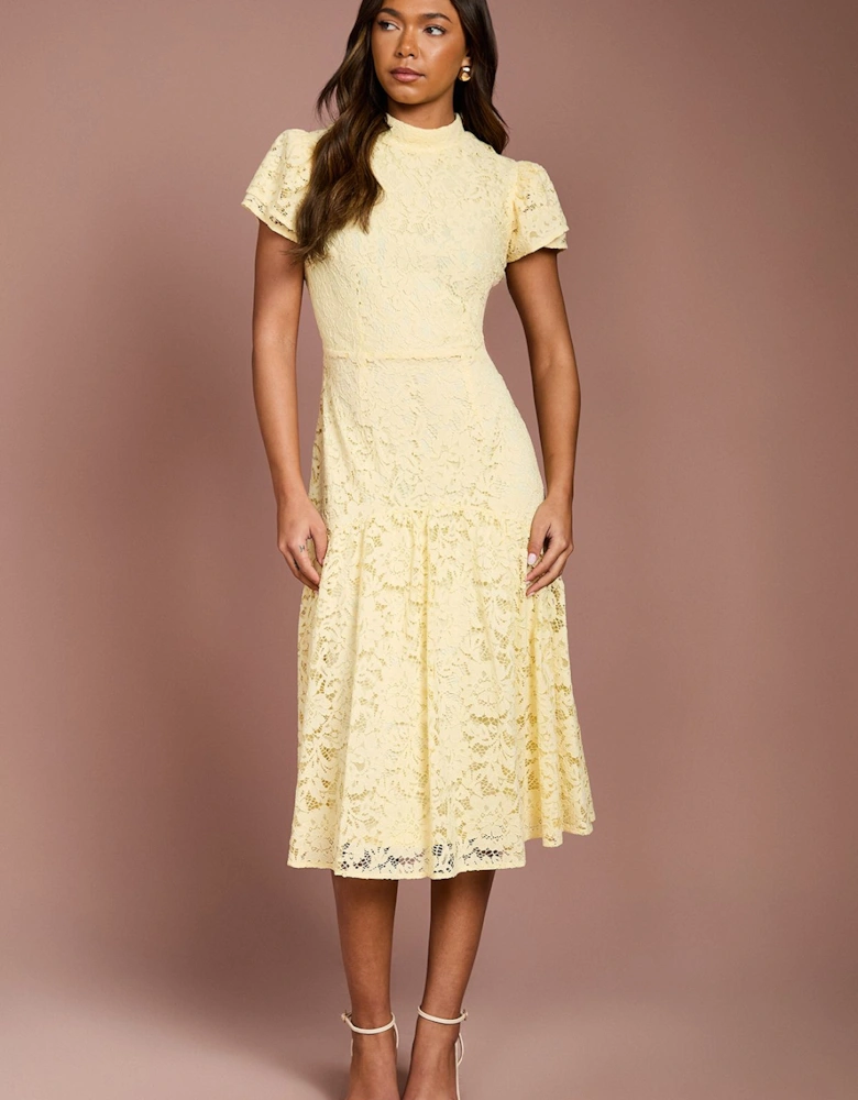 Lace Frill Sleeve High Neck Midi