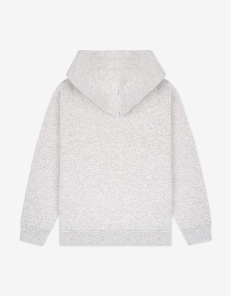 Kids SRHWC Hoodie in Grey