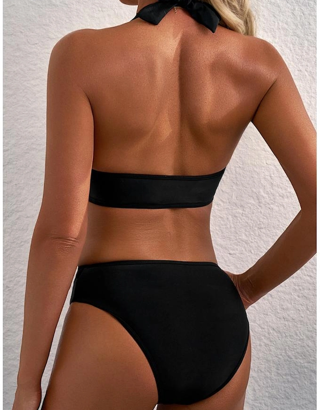 Black Sheer Mesh Edged Halter V Neck Push Up Bikini