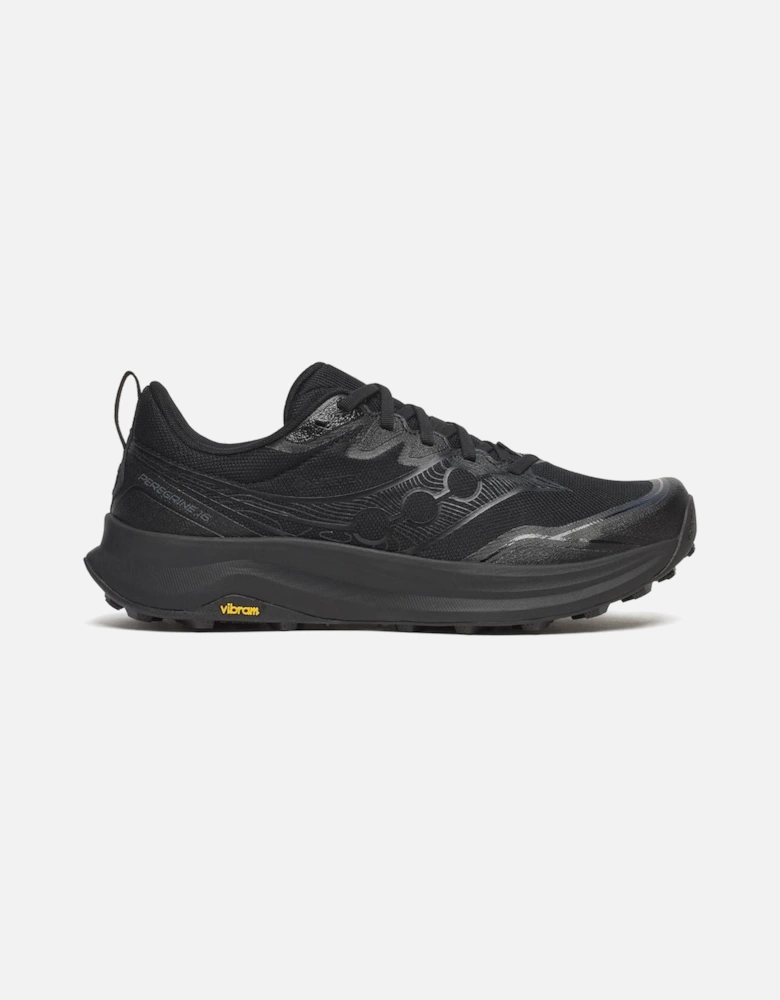 Peregrine 16 GTX Men's Triple Black Trainers