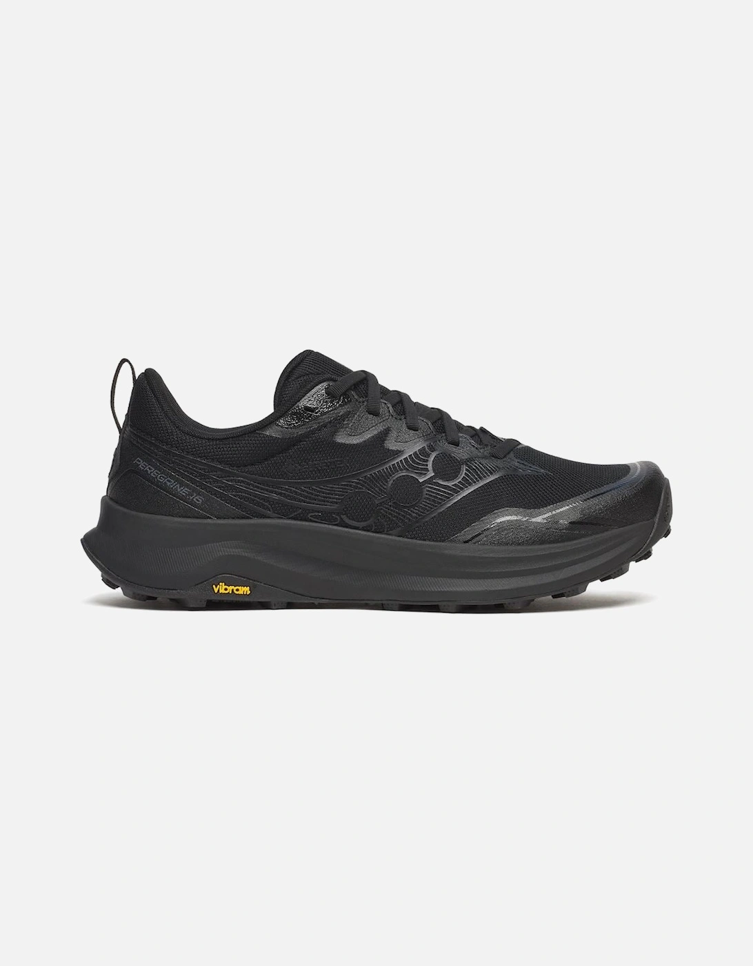 Peregrine 16 GTX Men's Triple Black Trainers