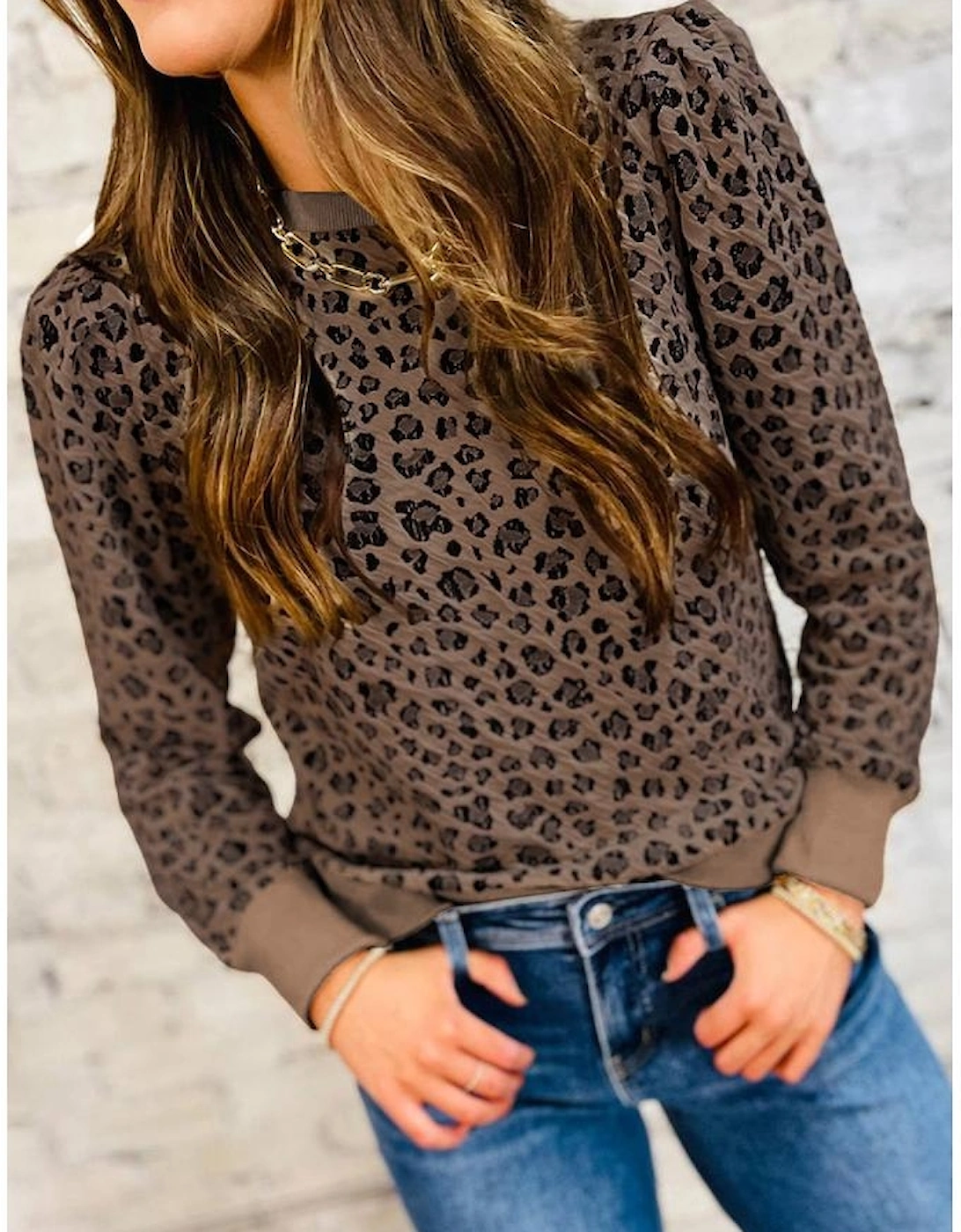 Brown Ribbed Trim Leopard Print Long Sleeve Top