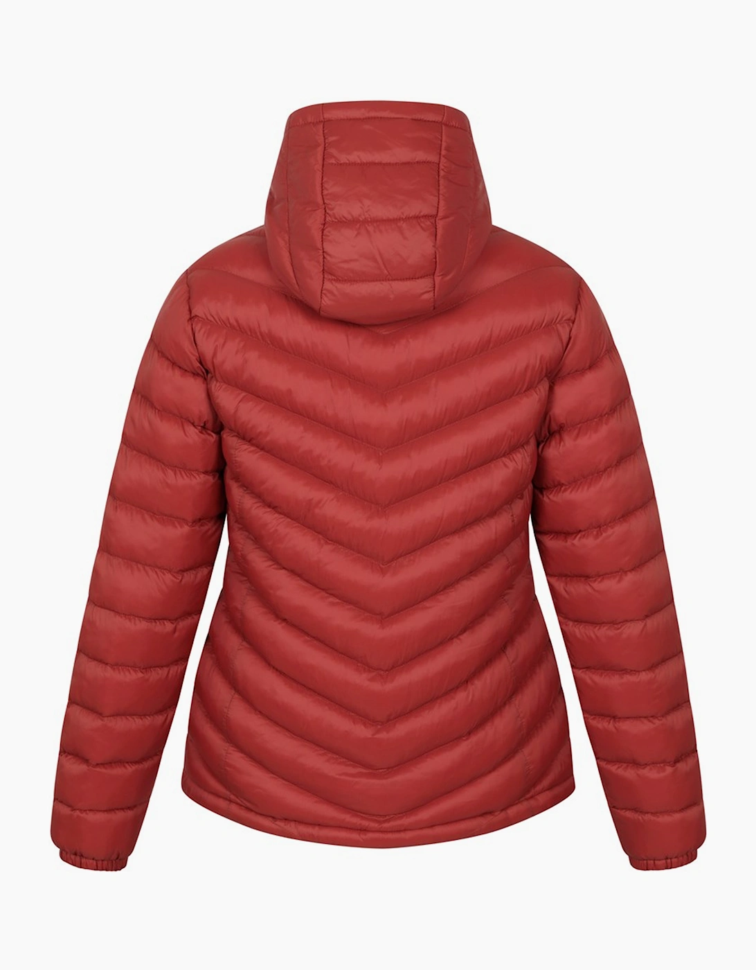 Womens/Ladies Seasons Padded Jacket