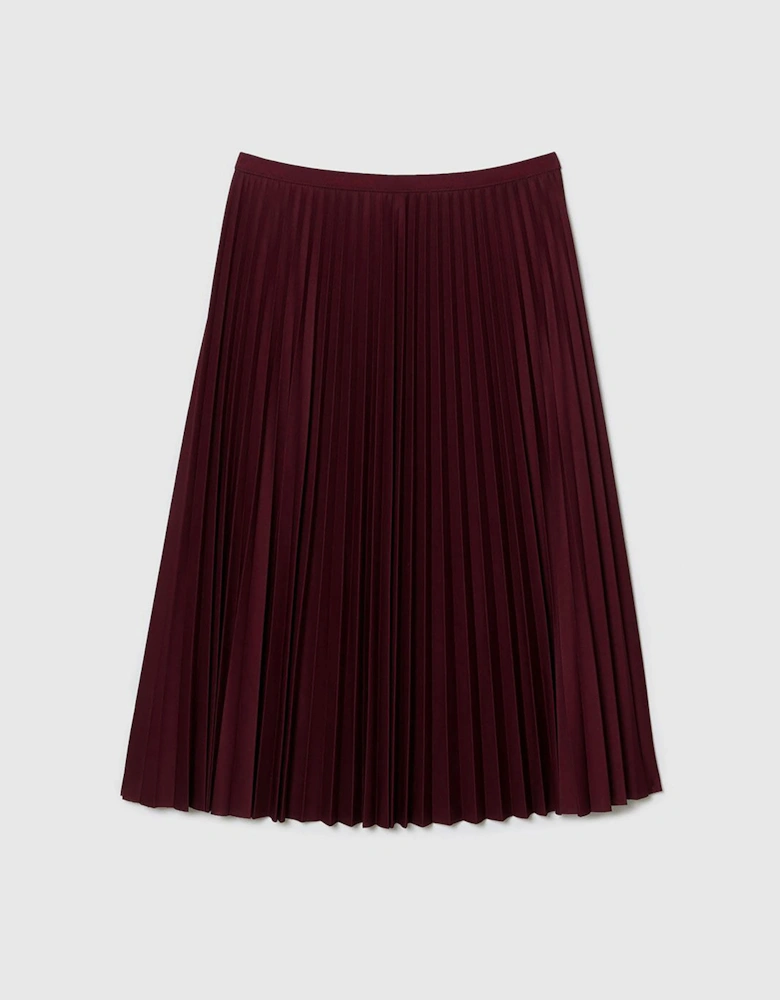 Elasticated Waist Flowing Pleated Skirt