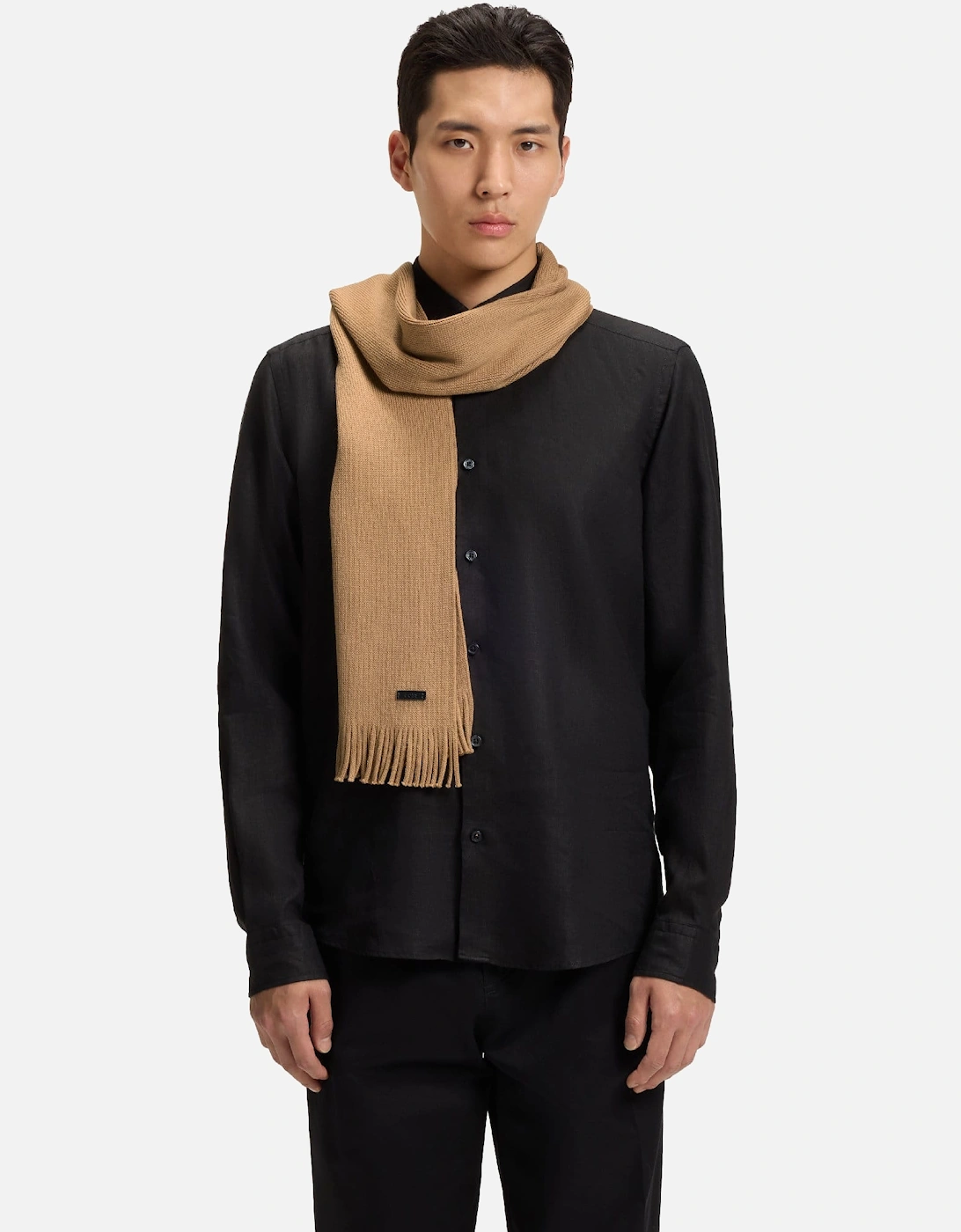 Albas Logo Plaque Scarf in Virgin Wool