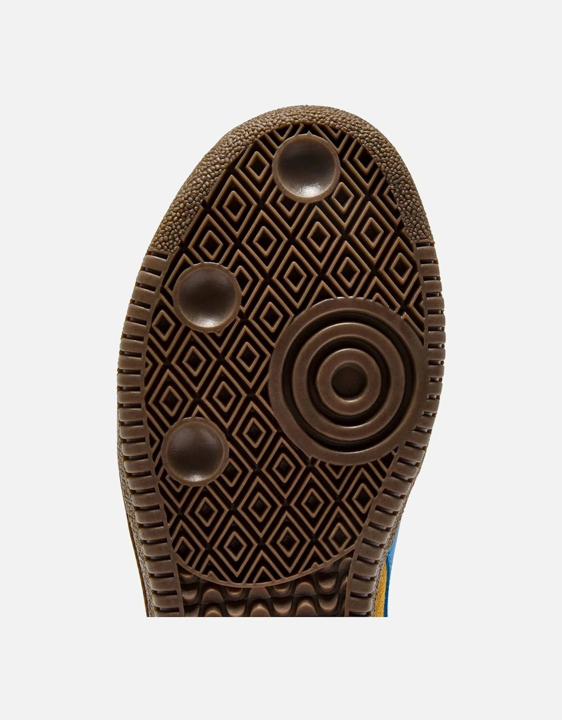 GOLDEN SPICE /DIRECTOIRE BLUE Tokyo Trainer