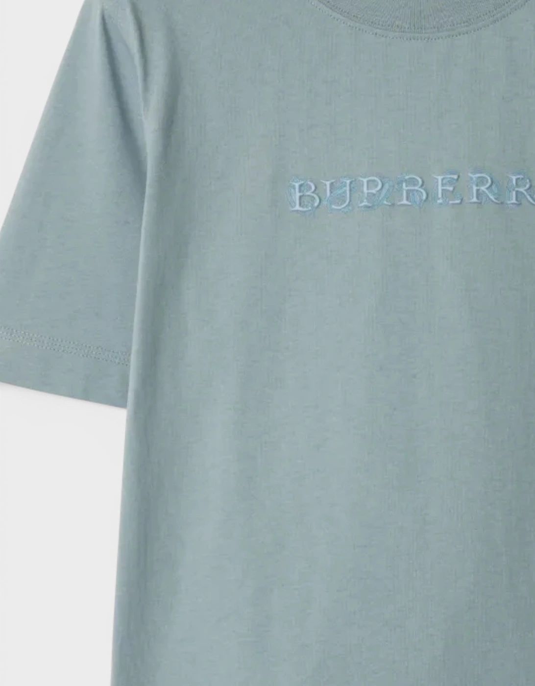 Paisley Logo Print T Shirt Gale Blue