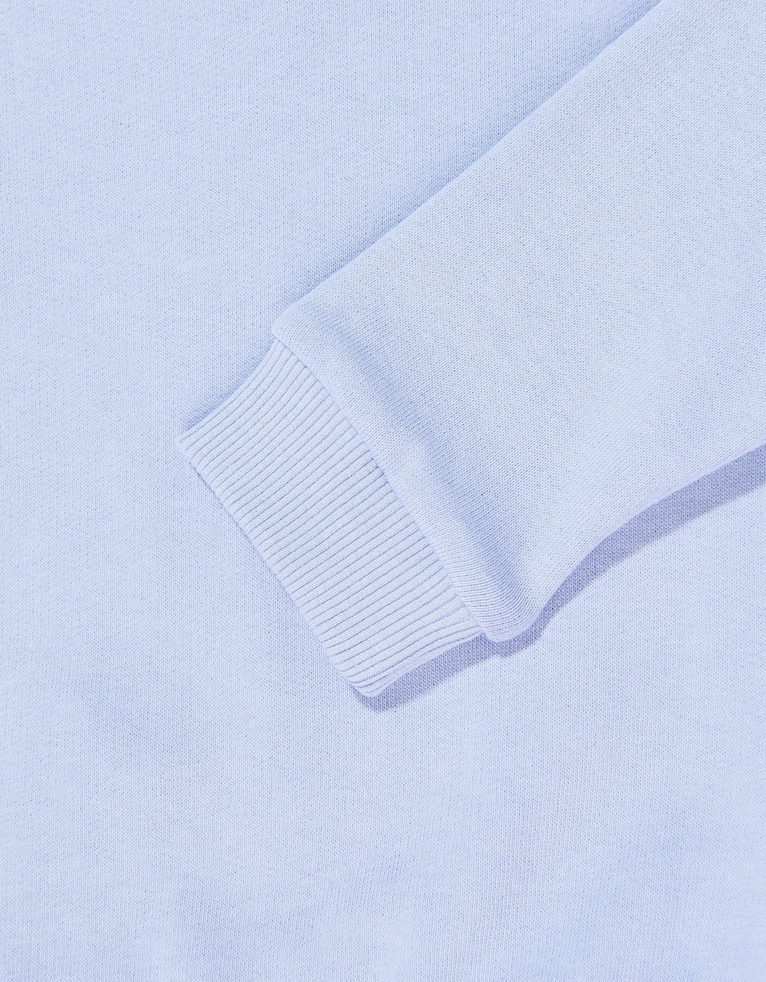 Kids Bear Logo Sweatshirt in Blue