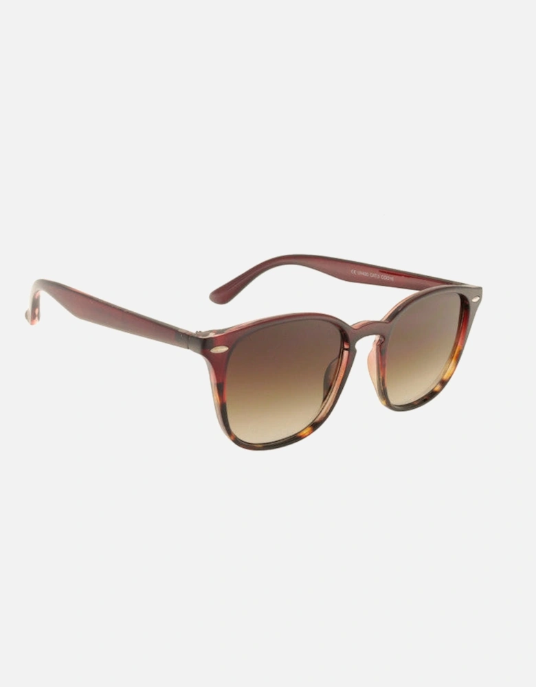 Cooper Wayfarer Style Sunglasses In Burgundy
