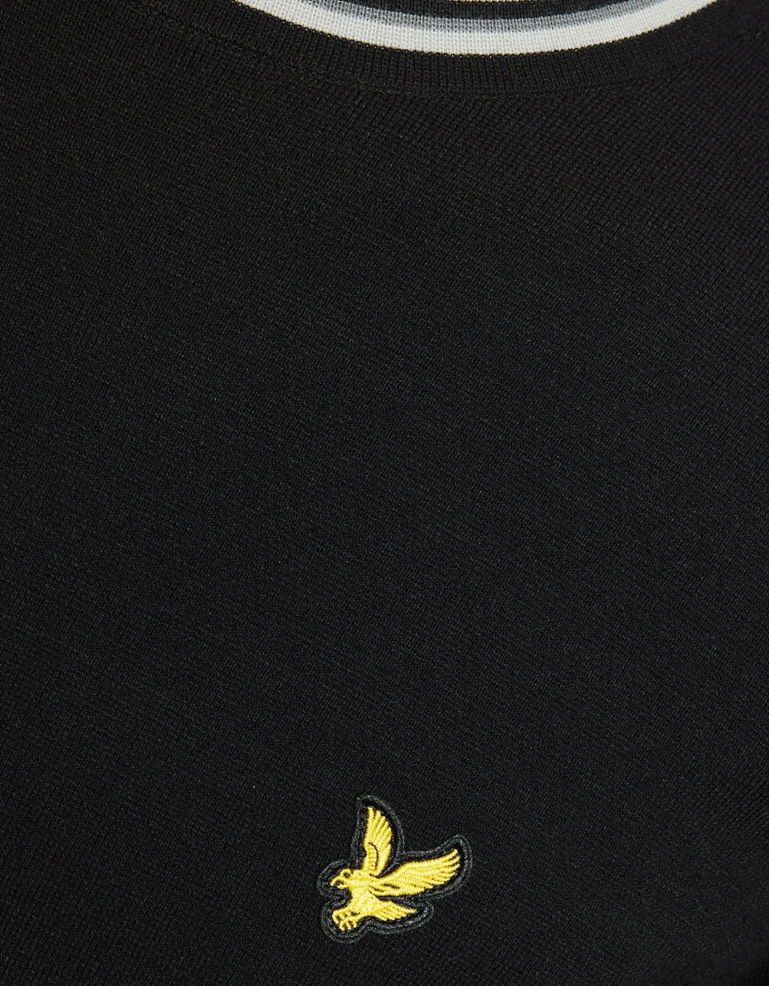 Tipped Knitted Crew Neck Jumper