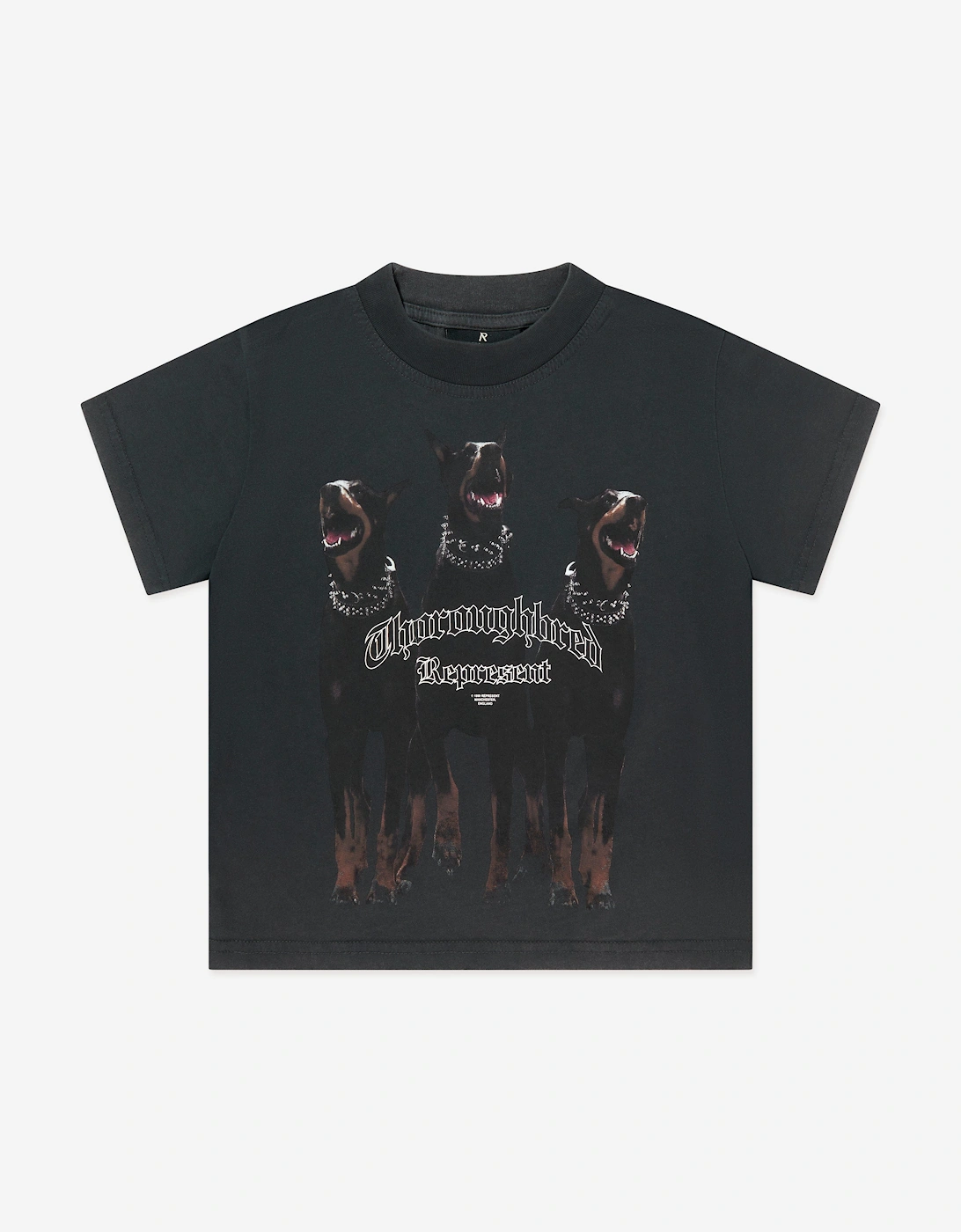 Represent Girls Multi Mini Thoroughbred T-Shirt  Black - Size 3 Years/2 Years Kids