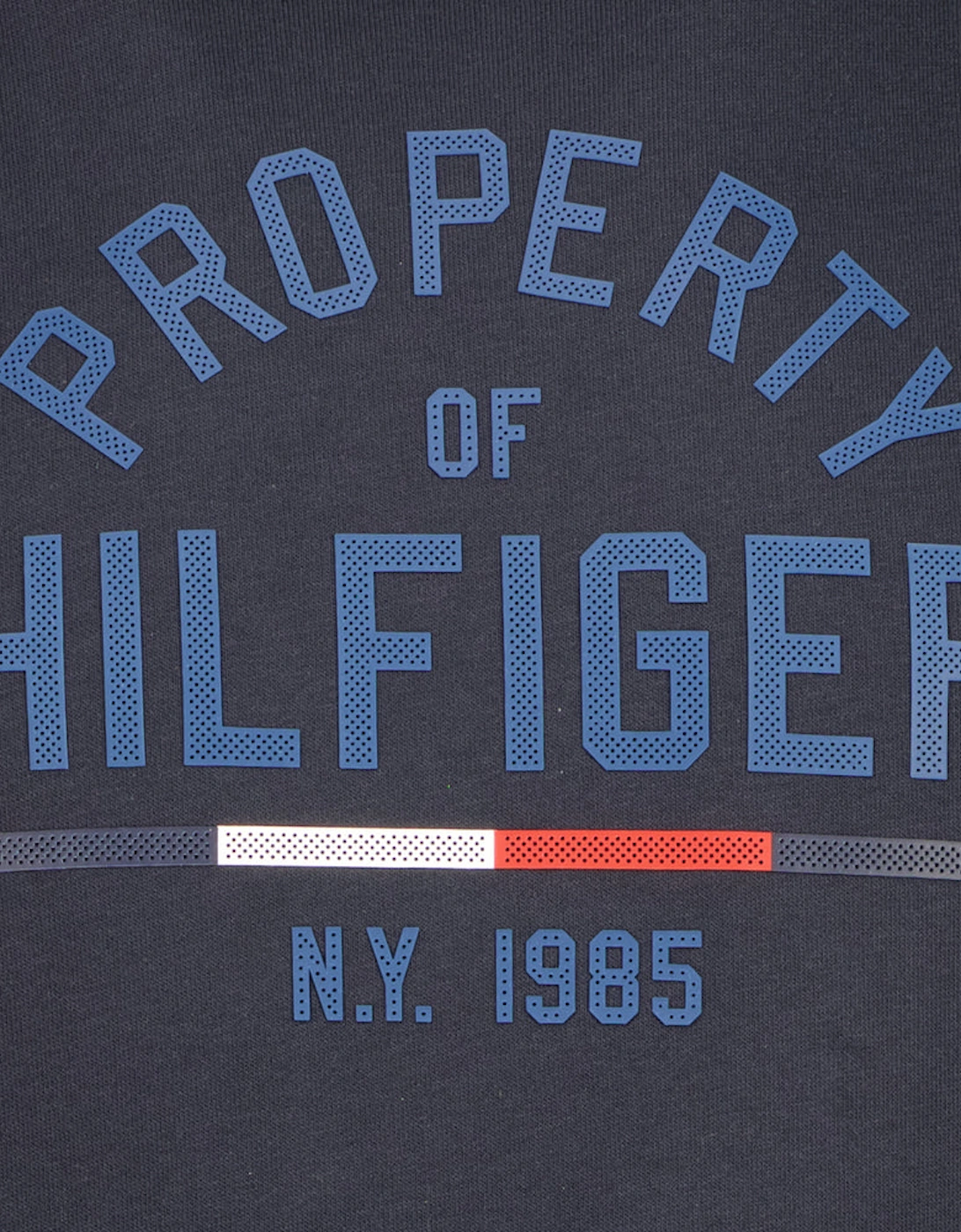 Logo Print Hooded Sweatshirt