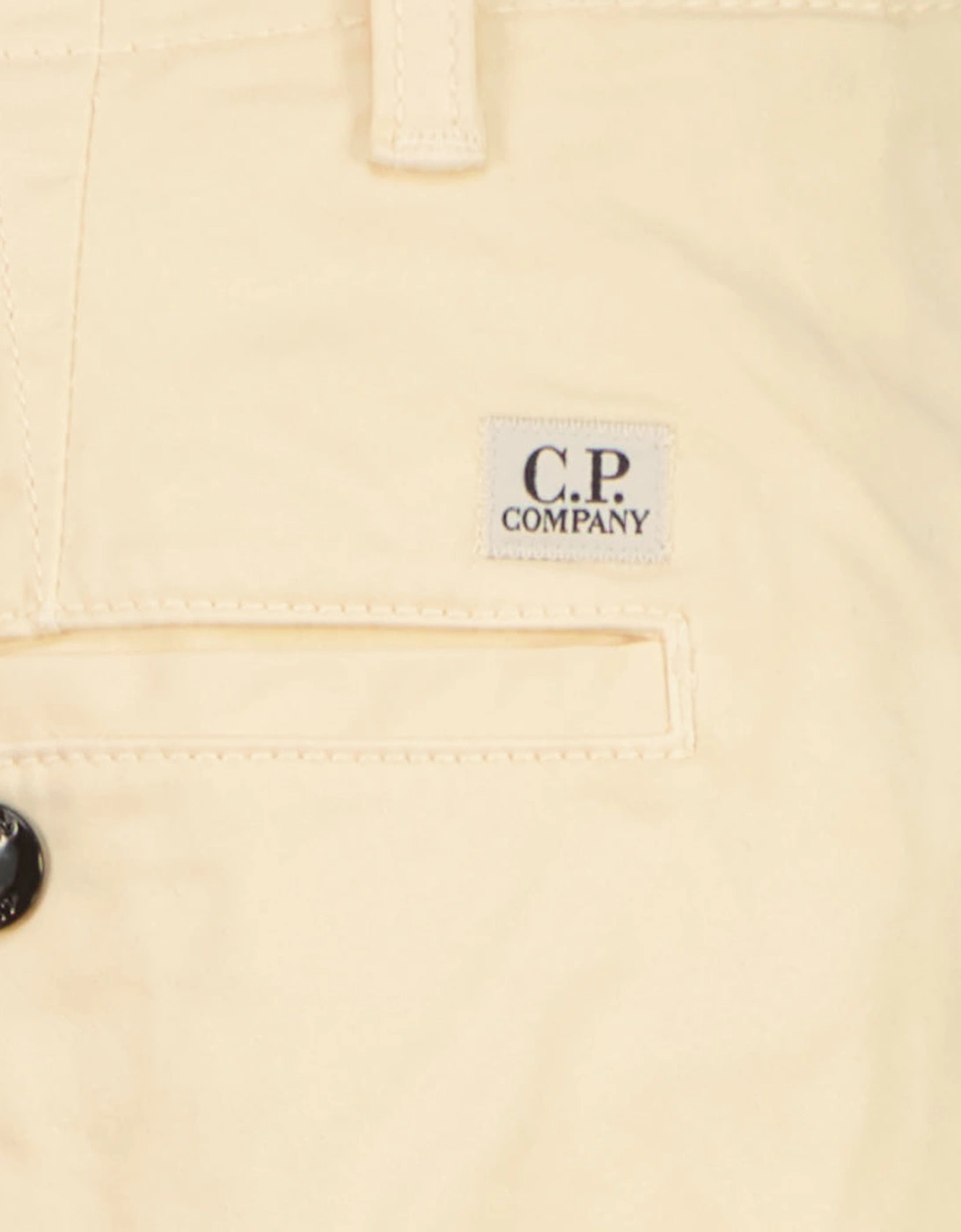 Satin Stretch Lens Cargo Shorts