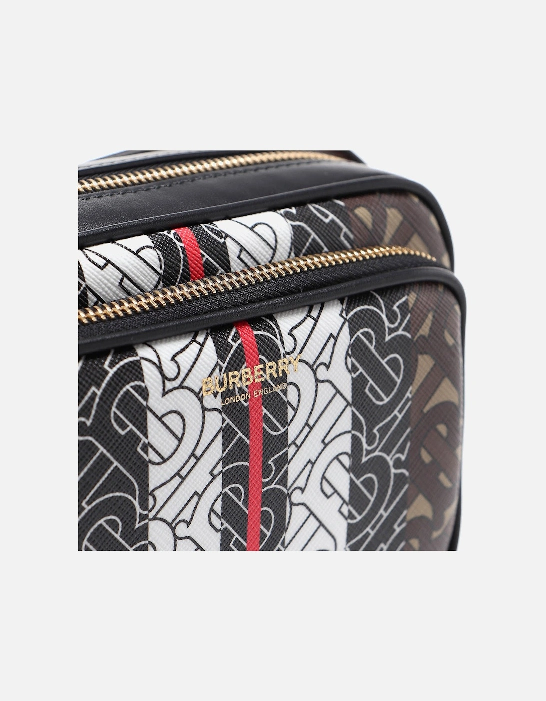 Monogram Print E-Canvas Camera Bag