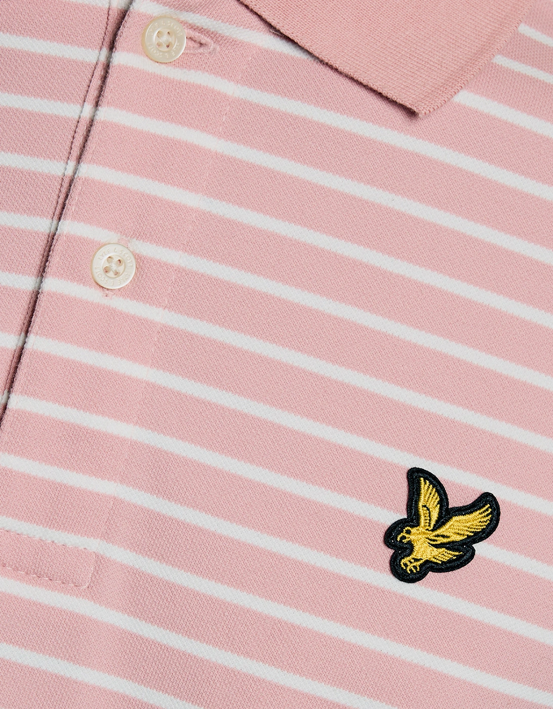 Tartan Collar Polo Shirt