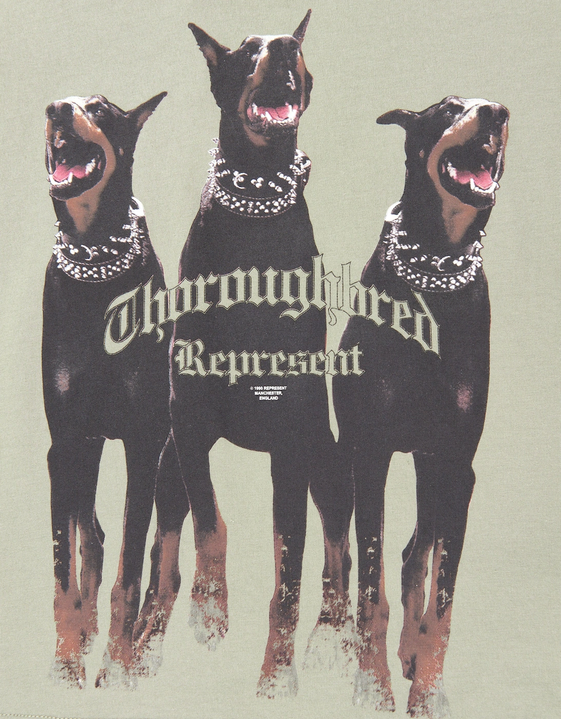 Kids Mini Thoroughbred T-Shirt in Green