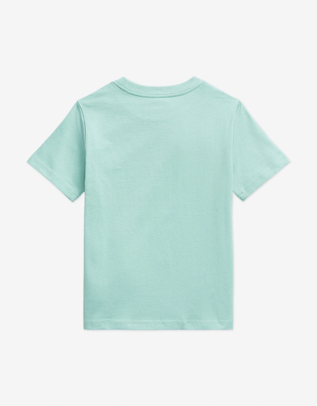Boys Logo Jersey T-Shirt in Green