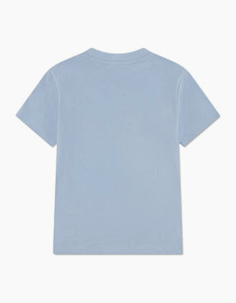 BOYS BLUE T SHIRT 847553