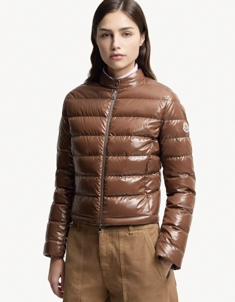 Womens Papillion Jacket Brown