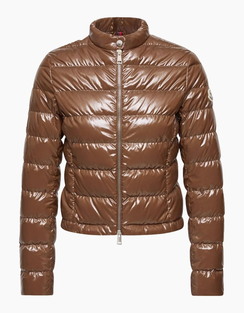 Womens Papillion Jacket Brown