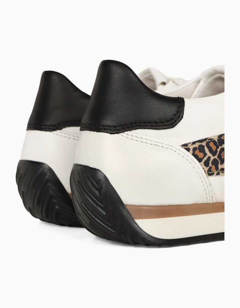 Globe Womens Trainers