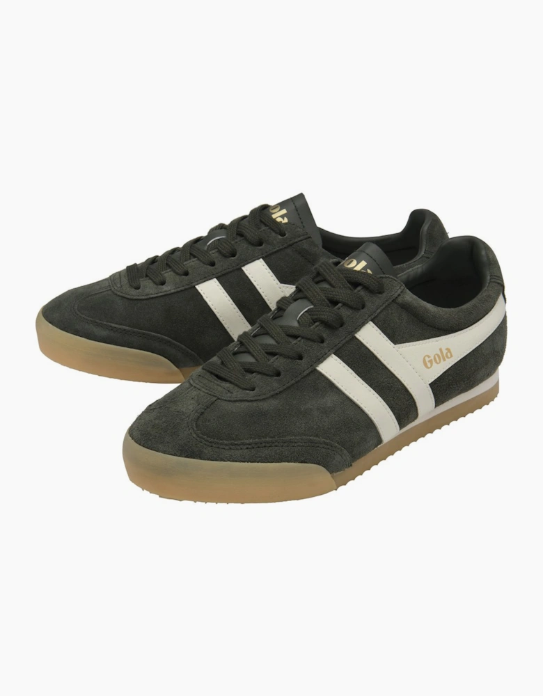 Apollo Mens Trainers