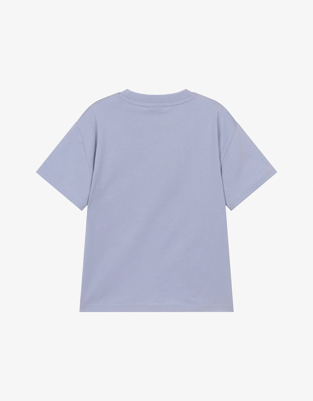 BOSS MEDIUM BLUE T SHIRT J52897