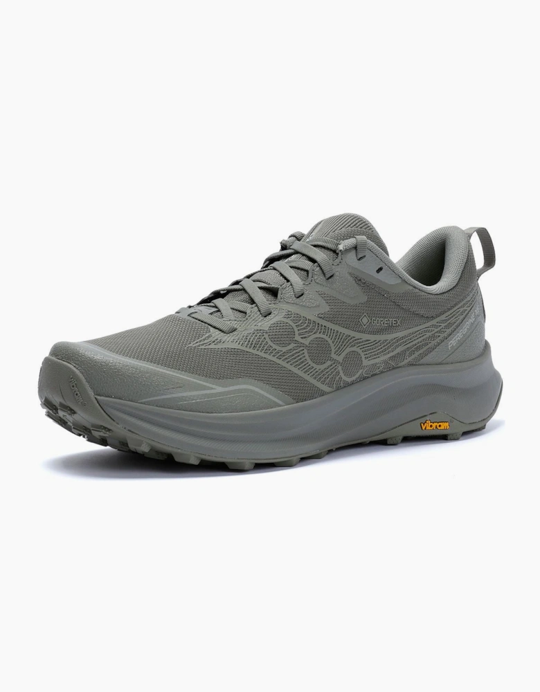 Peregrine 16 GTX Men's Laurel/Sage Trainers
