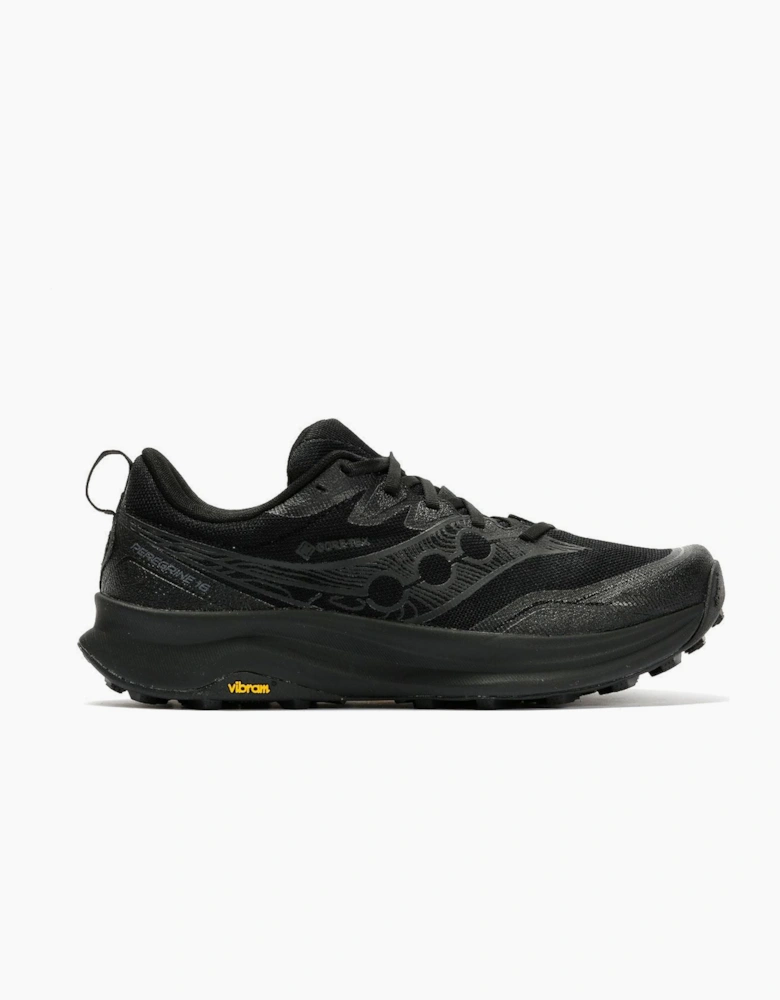 Peregrine 16 GTX Men's Triple Black Trainers