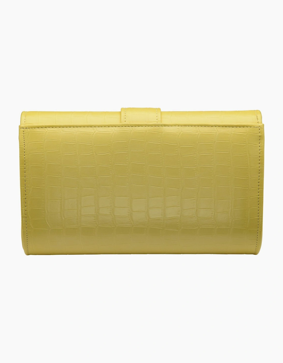 Alston Womens Clutch Bag